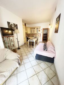 Appartamento a piano terra  : appartamento In affitto e vendita  Lido di Camaiore